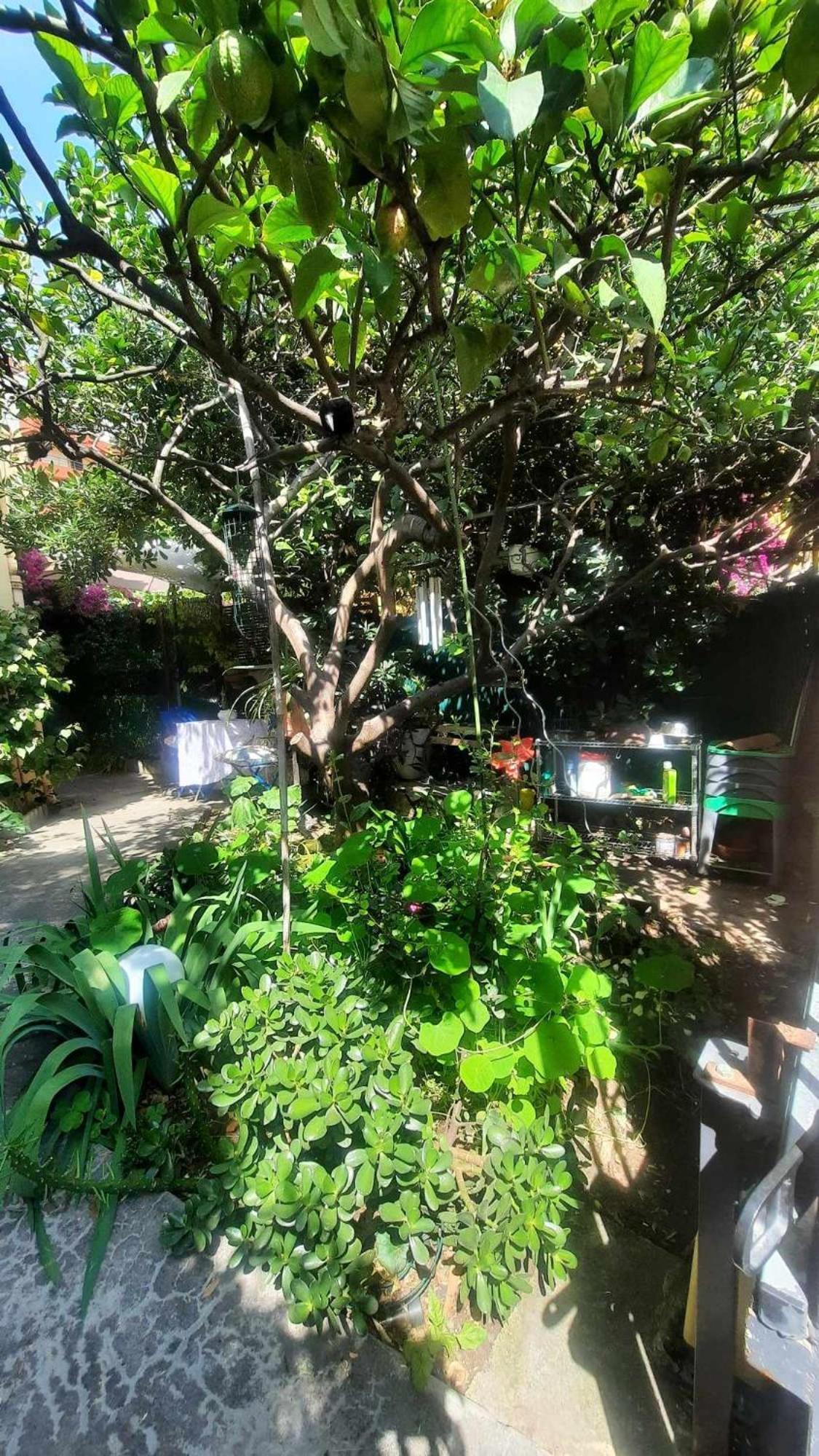 Les Violettes Apartment Menton Luaran gambar