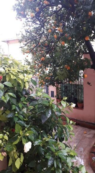 Les Violettes Apartment Menton Luaran gambar